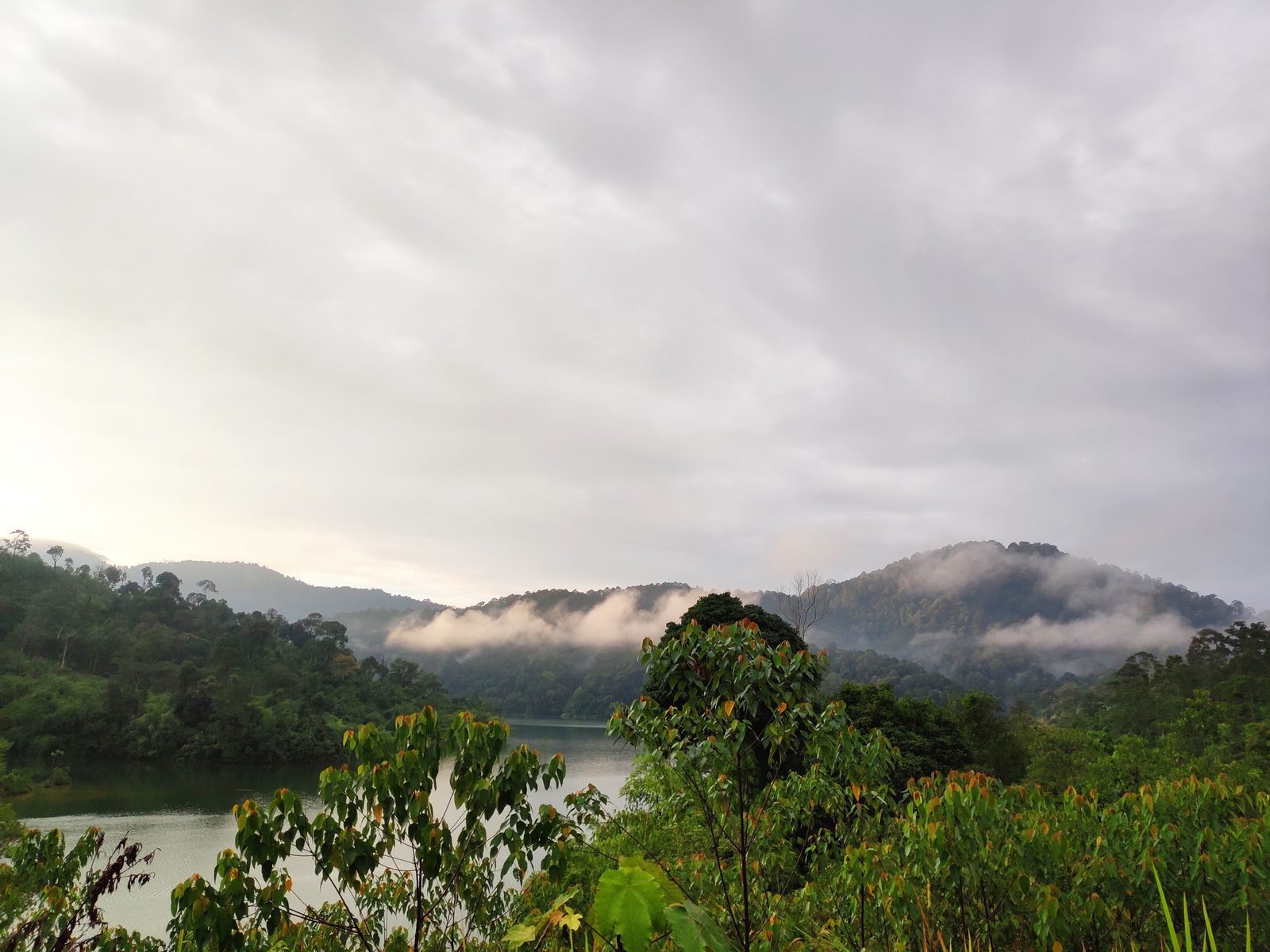 Mist over forested hills at dawn, Selangor, Malaysia