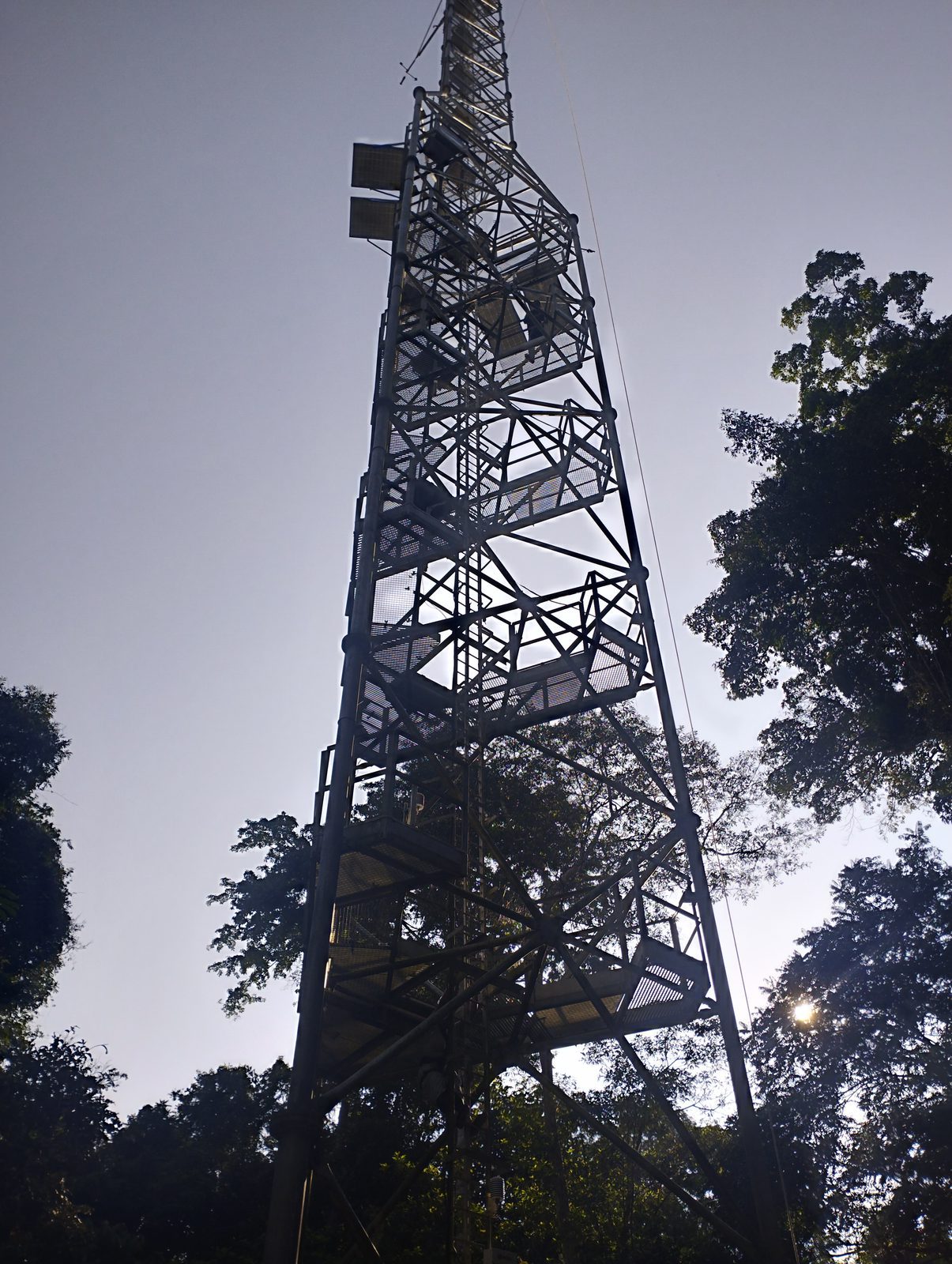 A flux tower rising above the forest canopy at Yangambi, DR Congo
