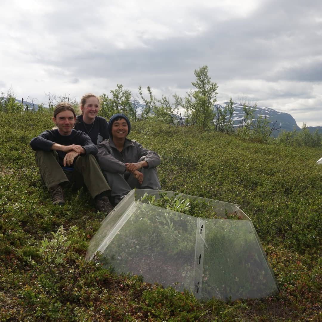 A passive warming chamber over tundra vegetation in Sweden