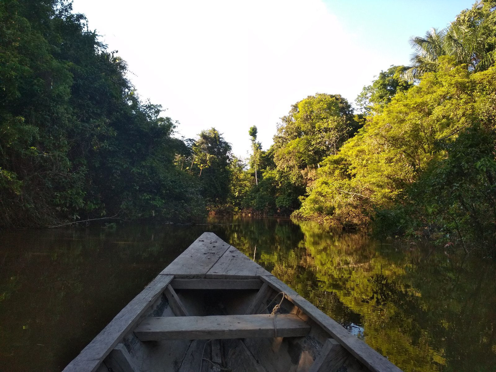 Travelling to field sites by canoe near Iquitos, Peru